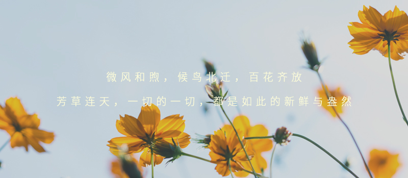 花 副本.jpg