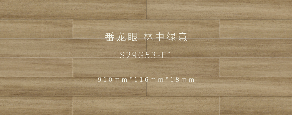 林中绿意.jpg